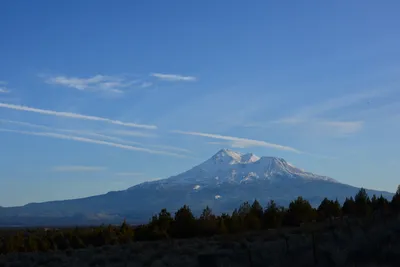 DSC_3051 (Large).JPG